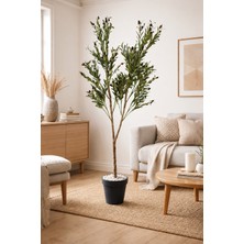 Bitki Dünyam Bitkidunyam Yapay Zeytin 150 cm Boyunda Dekoratif Modern Iç Mekan Salon Ofis Ağacı