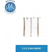 2.2 Ohm 1/4W Aırbag Dırenc (100 Adet) Orijinal Oto Beyin Tamir Entegreleri Merkan Elektronik