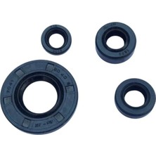 Gear5 Keçe Seti 4\'lü - Tvs Raider 125
