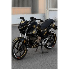 Banxtre Mondial Drift-L Için 33 Parça Mat Gold Komple Sticker Seti