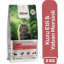 Obivan Kuzu Etli ve Yaban Mersinli Yetişkin Kedi Maması 2 kg