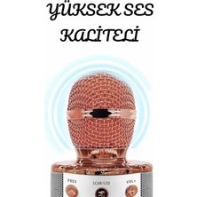 Die Grup Şarjlı ve Uzun Pil Ömürlü Karaoke Mikrofon USB Bellek Destekli, Profesyonel Ses
