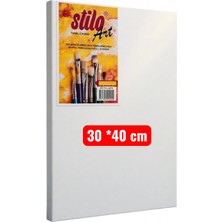 Stilo Art Canvas 30X40 cm Tuval