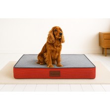 Empressco Pawiyans Süngerli Pet Yatağı 10CM Yıkanabilir Kılıflı Sıvı Geçirmez Üst Kalite Matfoam