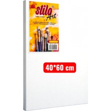 Stilo Art Canvas 50X60 cm Tuval