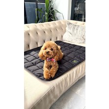 Empressco Verapaws Araç ve Dış Mekan Su Geçirmez Köpek Matı - Fiyatı, Yorumları