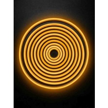 Ookay Led 2835 12V Neon Flex LED 5 Metre