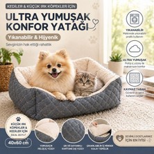 Empressco Petfunny Kedi Köpek Yatağı - Fiyatı, Yorumları