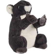 Uravas Store Mey Ithalat® 0785 Gri Renk Koala