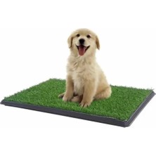 Uravas Store Mey Ithalat® Pet Park Mini Yavru Köpek Tuvalet ve Eğitim Çiti