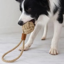 Uravas Store Mey Ithalat® Mikopet Köpek Oyun Topu