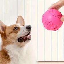 Uravas Store Mey Ithalat® Pati Desenli Köpek Isırma Topu