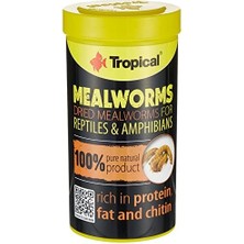 MWX Teknoloji Meal Worms Un Kurdu 250ML 30 gr