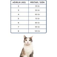 MWX Teknoloji Econature Plus Balıklı Yetişkin Kedi Maması 15KG