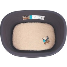 Empressco M-Pets Java Plastik Köpek Yatağı+Minder (S) - Fiyatı, Yorumları