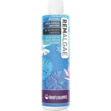 MWX Teknoloji Remalgae Yosun Giderici 50 ml