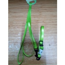 Senye Köpek Takım Boyun Tasma S 2.5cm 120 cm