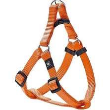 MWX Teknoloji Kilitli Göğüs Tasma, Köpek, S/m, 35-60 Cm, Turuncu