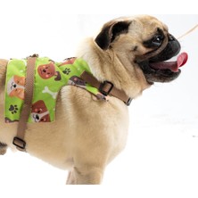 MWX Teknoloji Kaçış Önleyici Ayarlanabilir Küçük Irk ve Büyük Irk Köpek Göğüs Tasma Seti ve Gezdirme Ipi (Köpekçik, S)