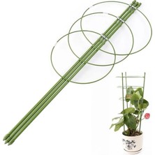 Grow Wizard Halkalı Bitki Destek Çubuğu 75 cm