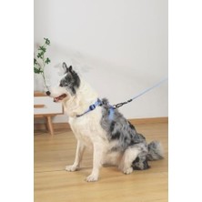 MWX Teknoloji M-Pets Gentle Dog Göğüs Tasması Mavi S