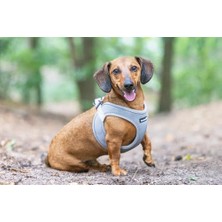 MWX Teknoloji Köpek Göğüs Tasması, Neopren, Yeşil, Xs, 30-35CM
