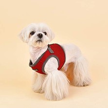 MWX Teknoloji Puppia Soft Harness Iı - Küçük ve Orta Boy Köpekler Için Yumuşak Yelek Takımı - Çok Rahat ve Kolay Giyilir