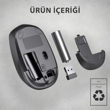 MWX Teknoloji WS202 Kablosuz 1200DPI 4 Tuşlu 3 Milyon Tıklama Ömrü Sessiz Tasarım, Pc, Mac, Dizüstü Bilgisayar Için, USB Mini Alıcı ile Optik Mouse Turkuaz