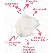 MWX Teknoloji Peptit & 8d Hyaluronik Asit Nemlendirici Krem 30 Ml- Peptide& All Day All Night Peptide Cream
