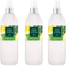 MWX Teknoloji Çeşme Limonu 150 ml Sprey x 3