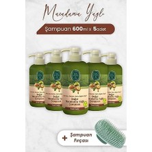 MWX Teknoloji Macadamia Yağlı Şampuan 600 ml x 5 Adet ve Şampuan Fırçası