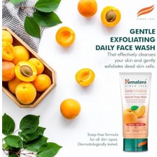 MWX Teknoloji Himalaya Since 1930 Peeling Etkili Hassas Yüz Temizleme Jeli, Kayısı, Aloe, Parabensiz, Tüm Ciltler, 150 ml (3 Paketi)