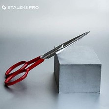 MWX Teknoloji Staleks Çok Amaçlı (Bıçak Uzunluğu 32 Mm) Pro Expert Se-30/1 - Profesyonel Kaş ve Kirpik Modelleme, Üst Dudak Saç Kesme, Bıyık ve Sakal Kırpma