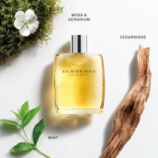 MWX Teknoloji Burberry Edt 100 ml Erkek Parfüm