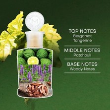 MWX Teknoloji Monotheme Leaves Patchouli Eau Pour Homme, Homme/man, Eau De Toilette, 100 ml