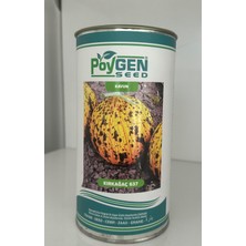 Poygen Seed Kırkağaç 637 Kavun Tohumu 500 gr (Standart Çeşit - Yüksek Verimli)