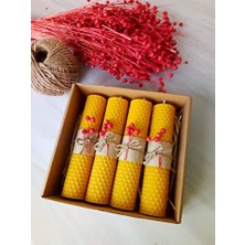MWX Teknoloji (4 Adet) 14CM x 3cm Doğal Petek Mum Hediyelik Bal Mumu Mum Besswax Arı Mumu