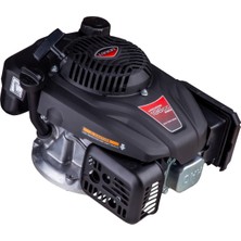 Loncin Loncın V200-B Eur5 Benzinli Motor 196CC 22-65MM Kamalı Gaz Ayarlı