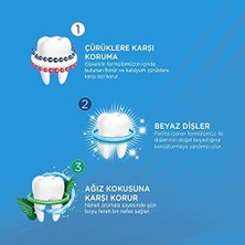 Sayemons Signal Diş Macunu Üçlü Koruma Çürüklere Karşı Beyaz Dişler Ferah Nefes 50 ml
