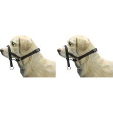 Sayemons Köpek Eğitim Tasması, Siyah, S (2 Paketi)