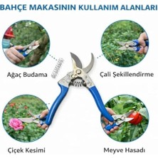 Sayemons Profesyonel Bahçe Budama Makası Paslanmaz Çelik Keskin Bıçak Ergonomik Kaymaz Sap Dayanıklı Dal Bitki Çiçek Kesme Makası,bahçe Budama Makası Paslanmaz Çelik Keskin Bıçak (MAVİ-789)