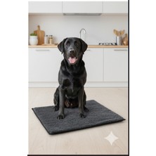 Empressco Siyah Pearl Evcil Hayvan Matı – Kedi & Köpekler Için Kaymaz, Kolay Temizlenen Konfor Pedi Peluşlu - Fiyatı, Yorumları