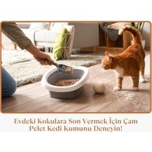Sayemons Premium Plus Çam Peleti Kedi Kumu 15 Lt Yavru/yetişkin Kediler ve Küçük Hayvanlar IÇIN%100 Organik Kedi Kumu - Astımlı ve Alerjik Kediler Için Uygun - Kimyasal Içermeyen Çam Peleti