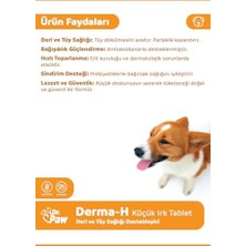 Sayemons Derma H Plus/deri ve Tüy Sağlığı Desteklyici, Dökülme Önleyici Premium Tablet/küçük Irk Köpekler Için (60 Adet/90 Gr)