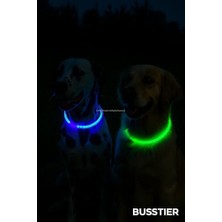 Sayemons Işıklı Köpek Tasması, USB Şarjlı, LED Evcil Hayvan Güvenlik Tasma, Su Geçirmez, Kesilebilir, Ayarlanabilir Boyunluk, Köpek ve Kedi Için, Gece Görünürlük Artırıcı (Mavi, 44 Cm)