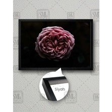 SML Tablo Sanatsal Gül Yaprakları Rose Yatay Çerçeveli Kanvas Tablo
