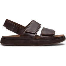 Timberland TB0A26X8 Casco Cove Backstrap Sandal Kahverengi Erkek Sandalet