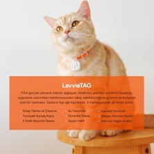 Sayemons Lavvietag Kedi Aktivite Takip Cihazı, Tarayıcı Dahil, 30 Gün Pil Ömrü, 5g Ağırlık