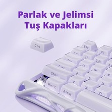 Sayemons Mercury V75 He Klavye - Manyetik Anahtarlı Oyun Klavyesi, 8000 Hz Yoklama, 0.005RT, Kablolu Usb-C, Rgb Arkadan Aydınlatmalı, Ayarlanabilir Çalıştırma, Yarı Alüminyum Kasa - Lavanta Moru