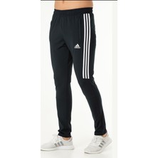 Newforss Adidas ED-2795 Erkek Polyester Eşofman Altı